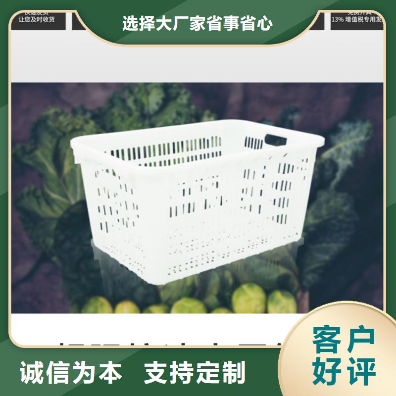 塑料筐【塑料圆桶】用好材做好产品当地经销商