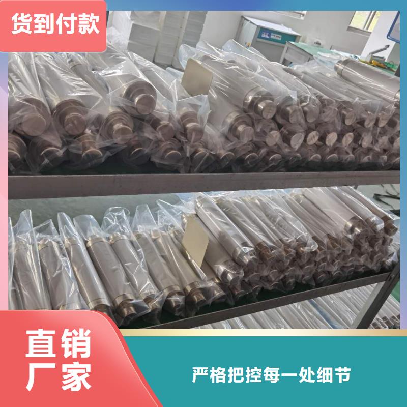 高压熔断器XRNP-10KV高压限流熔断器制造厂家精心推荐