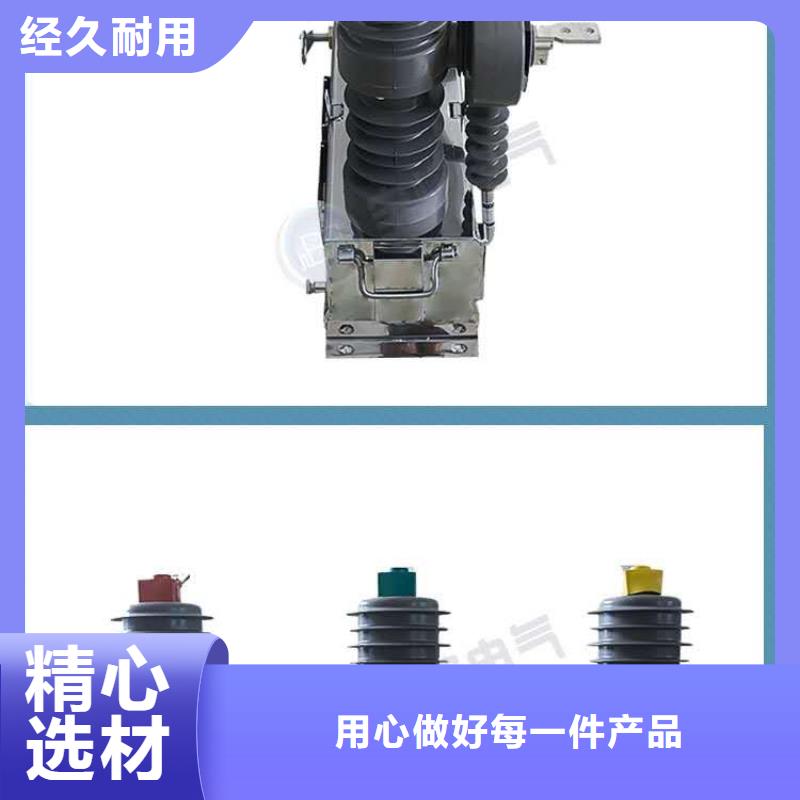 真空断路器_GW9-12/630新型/老型快捷的物流配送本地生产厂家