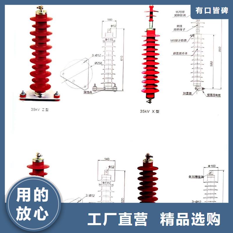 氧化锌避雷器高压限流熔断器48小时发货供应商