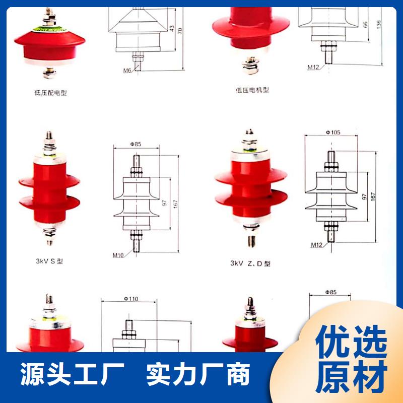 氧化锌避雷器XRNT-12KV熔断器产品参数同城货源