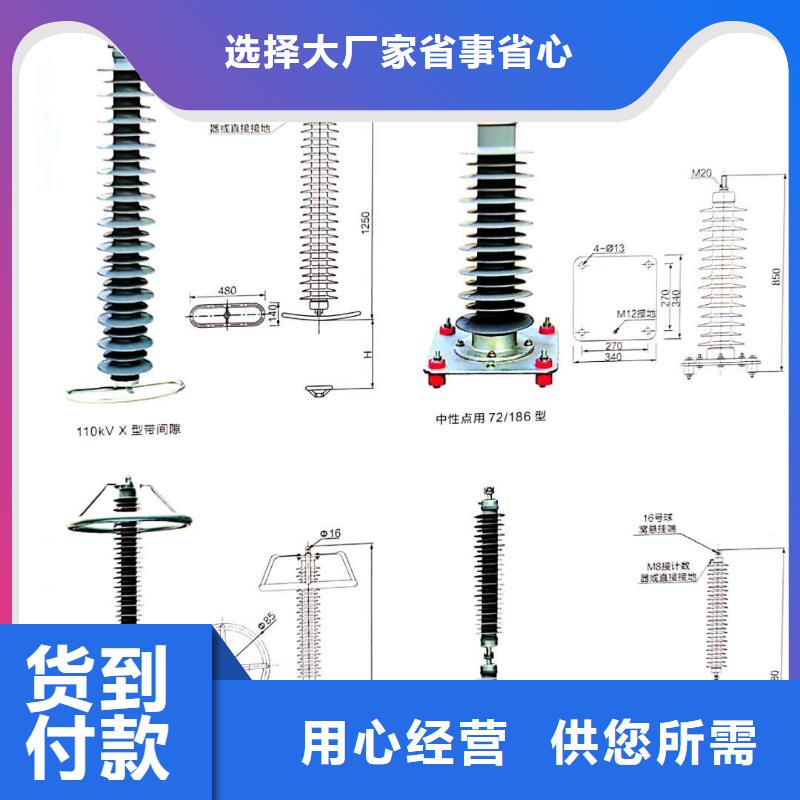 氧化锌避雷器ZW32-12F/630A精品优选同城厂家