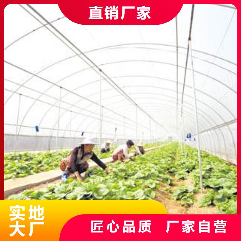 【大棚管
蔬菜温室大棚管厂家工艺先进】满足您多种采购需求