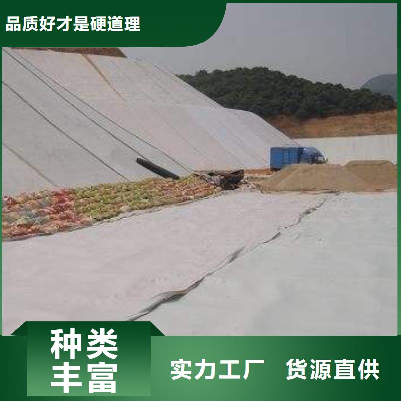 复合土工膜玻纤土工格栅工厂直供制造厂家