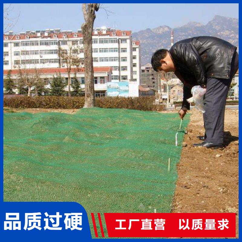 【三维植被网】软式透水管工艺层层把关源厂定制