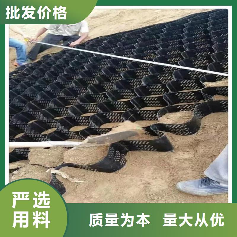 土工格室-PP焊接土工格栅颜色尺寸款式定制设计制造销售服务一体