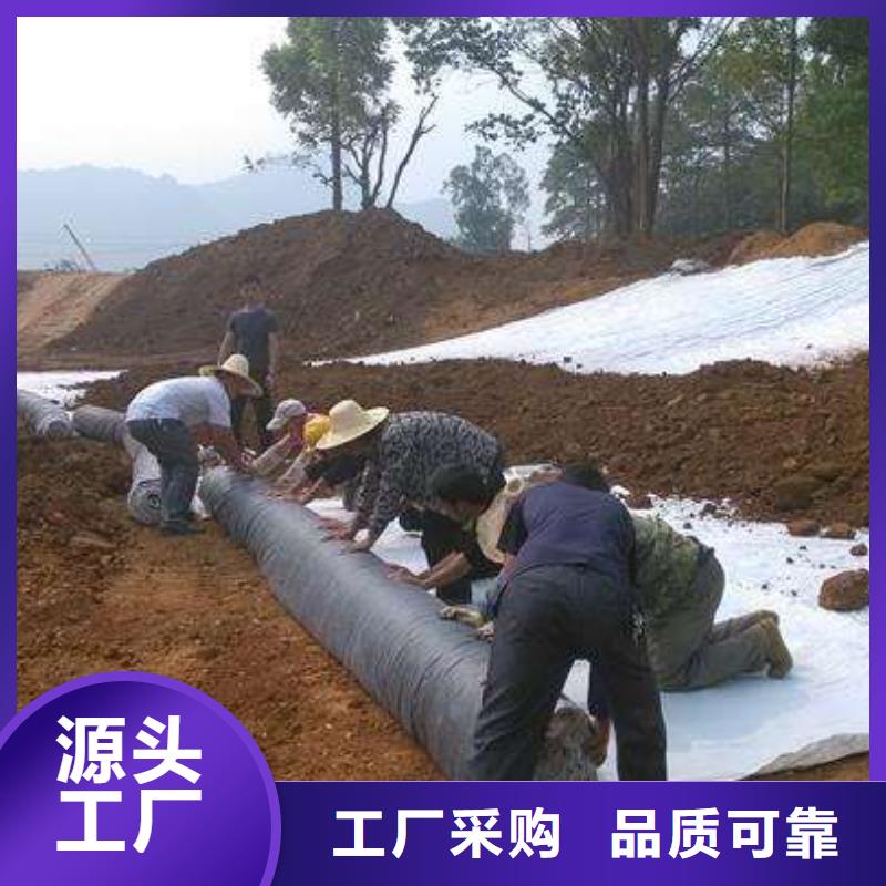 膨润土防水毯PP焊接土工格栅一站式采购使用寿命长久