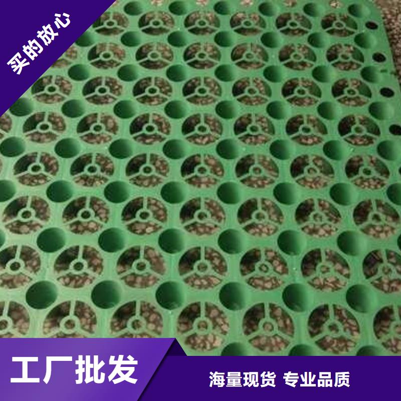 排水板双向塑料土工格栅真正让利给买家源头厂家量大价优