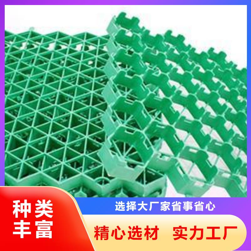 【植草格_毛细排水板畅销本地】当地货源