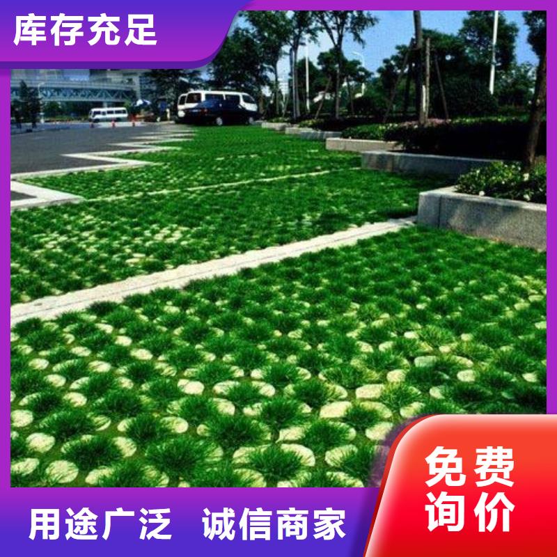 植草格【土工布】支持定制从厂家买售后有保障