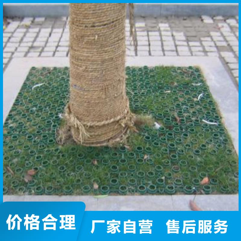 【植草格凸结点钢塑土工格栅出货及时】同城生产商