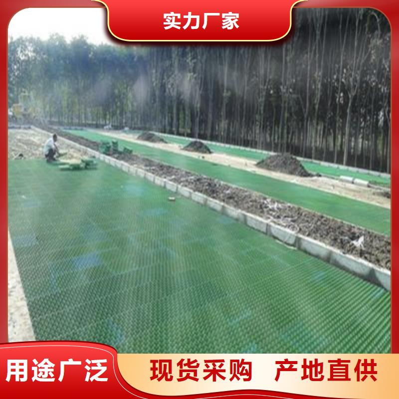 【植草格_玻纤土工格栅工厂直营】本地公司