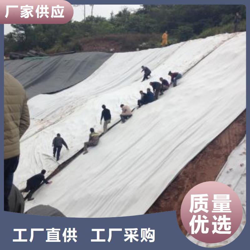 【膨润土防水毯】双向塑料土工格栅每个细节都严格把关源厂直销