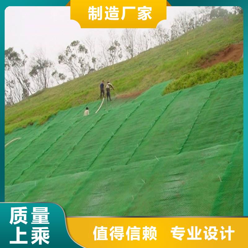 三维植被网钢塑土工格栅标准工艺当地生产厂家