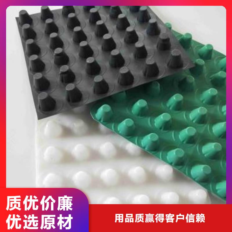 塑料排水板反滤土工布您身边的厂家自主研发