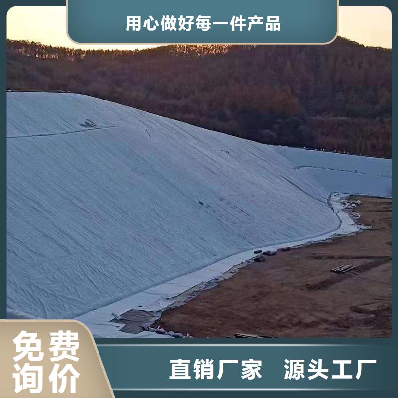 【三维复合排水网】护坡土工网量少也做当地经销商