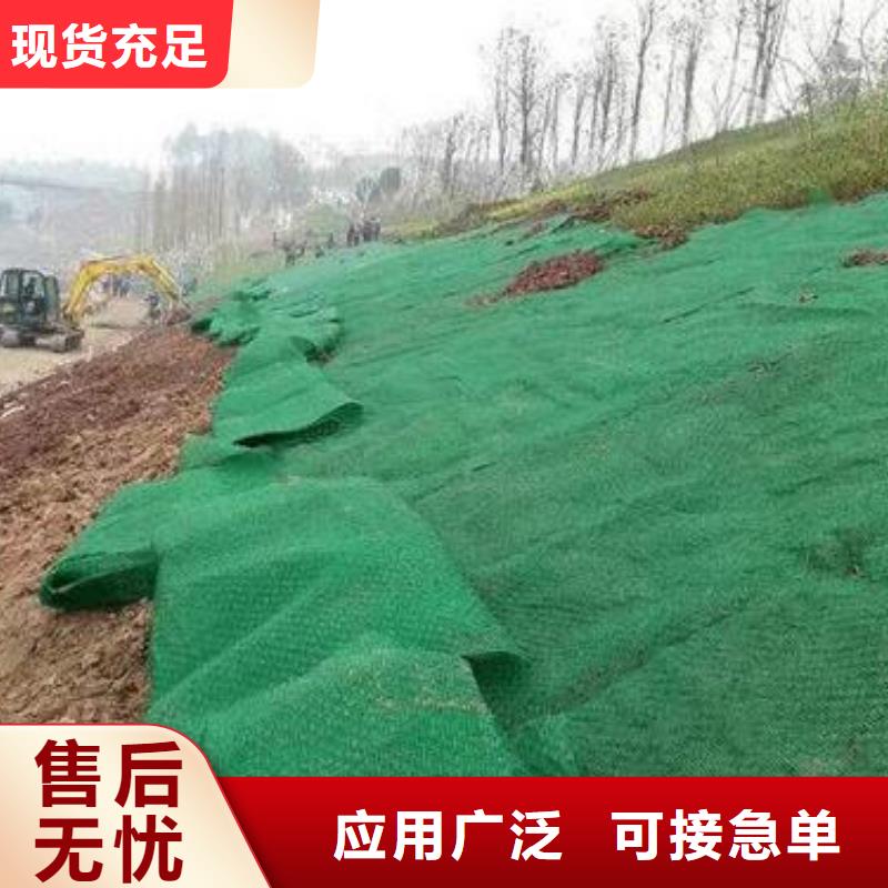 【三维植被网】三维土工网垫源头工厂量大优惠支持加工定制