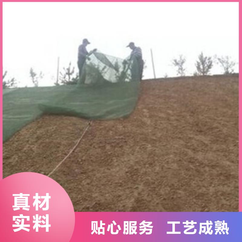 三维植被网反滤排水厂家品控严格本地生产厂家