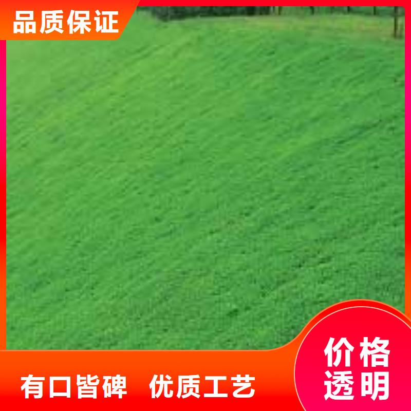 【三维植被网-钢塑土工格栅性能稳定】规格齐全