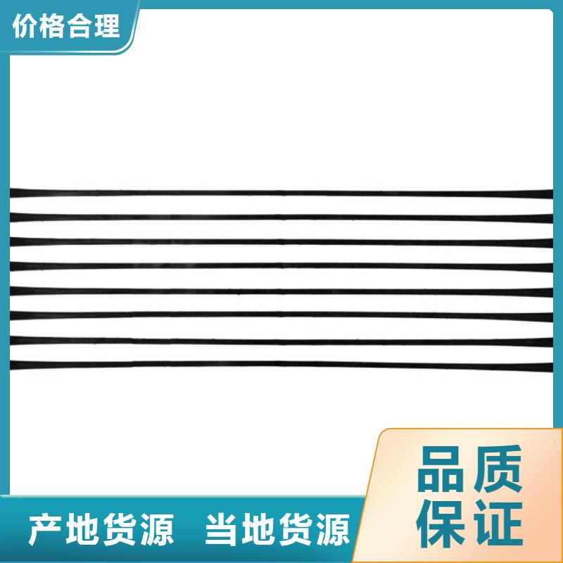 单向拉伸塑料格栅-水土保护毯厂家经验丰富源头厂商