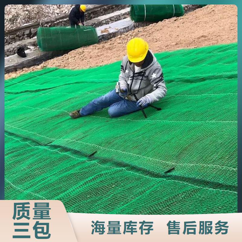 三维植被网,双向塑料土工格栅产品细节参数厂家货源