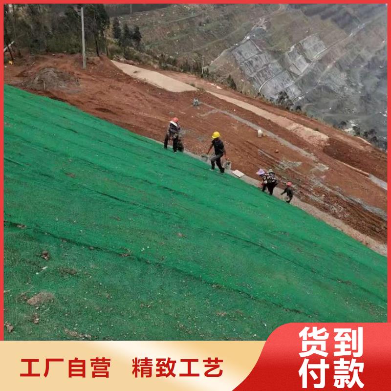 【三维植被网】单向塑料土工格栅拒绝中间商常年供应