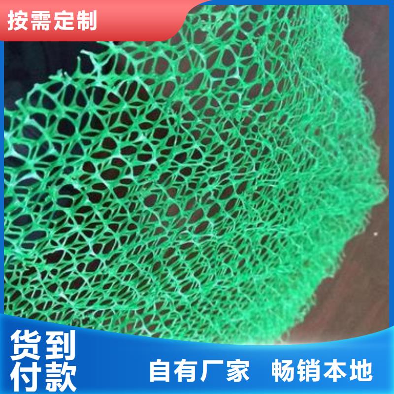 三维植被网凸结点钢塑土工格栅品质过硬支持定制贴心售后