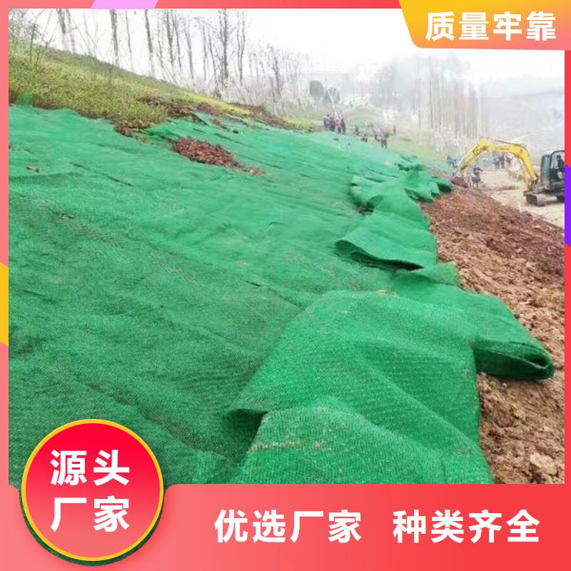 【三维植被网复合土工膜满足多种行业需求】同城公司