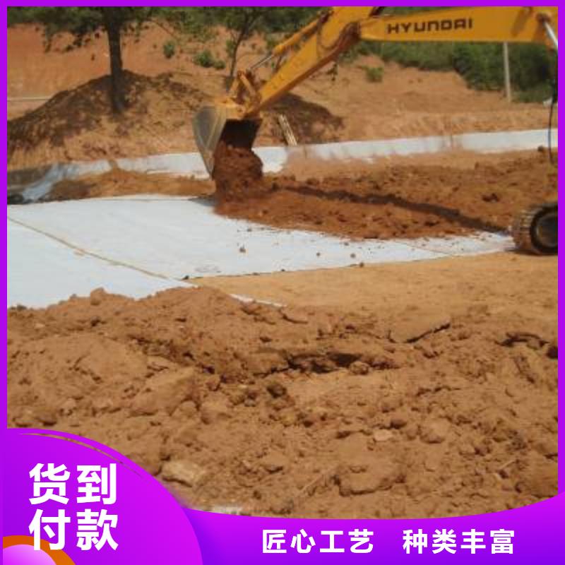 【防水毯】-护坡土工网出厂严格质检同城生产商