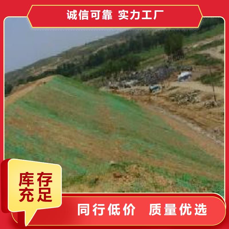 【三维植被网】-钢塑土工格栅厂家多种款式可随心选择本地服务商