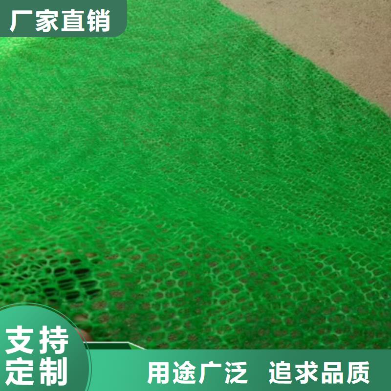 三维植被网硬式透水管一致好评产品源头厂源头货