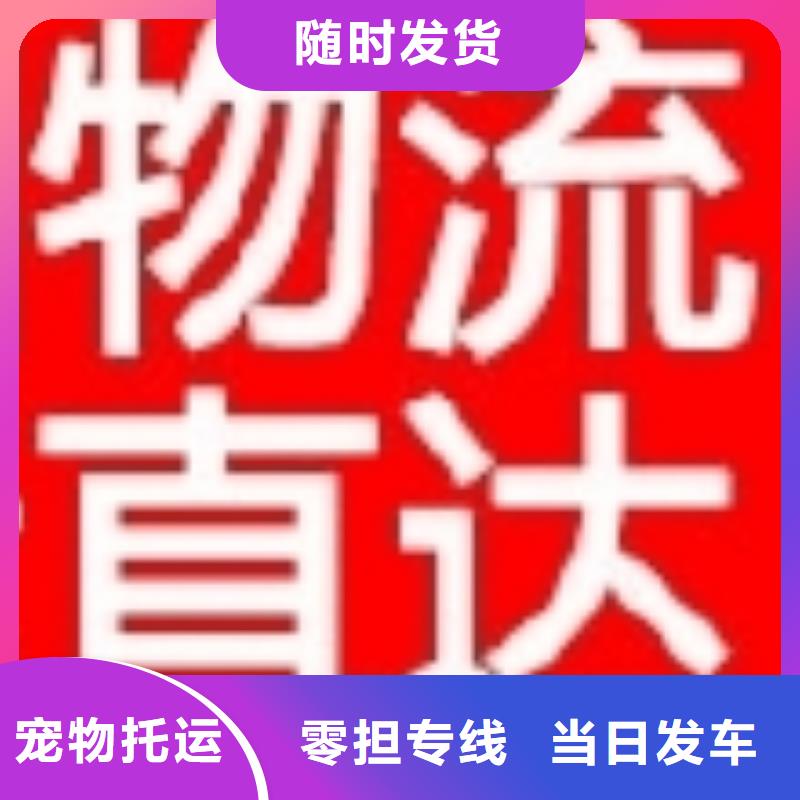 日照物流,龙江到日照物流货运专线公司回头车冷藏直达仓储专线直达不中转