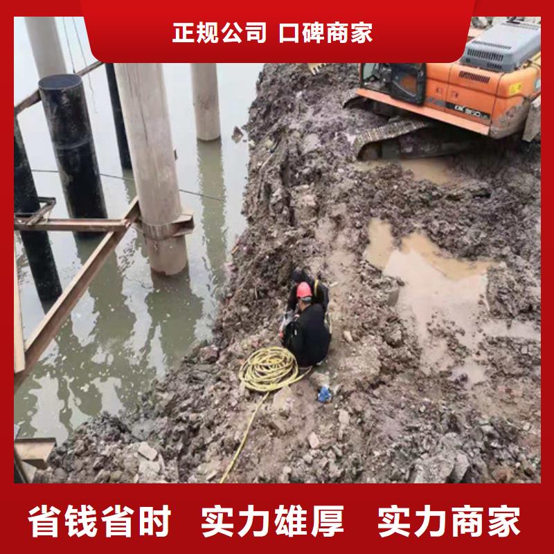 水下施工,【本地潜水救援】匠心品质<当地>制造商