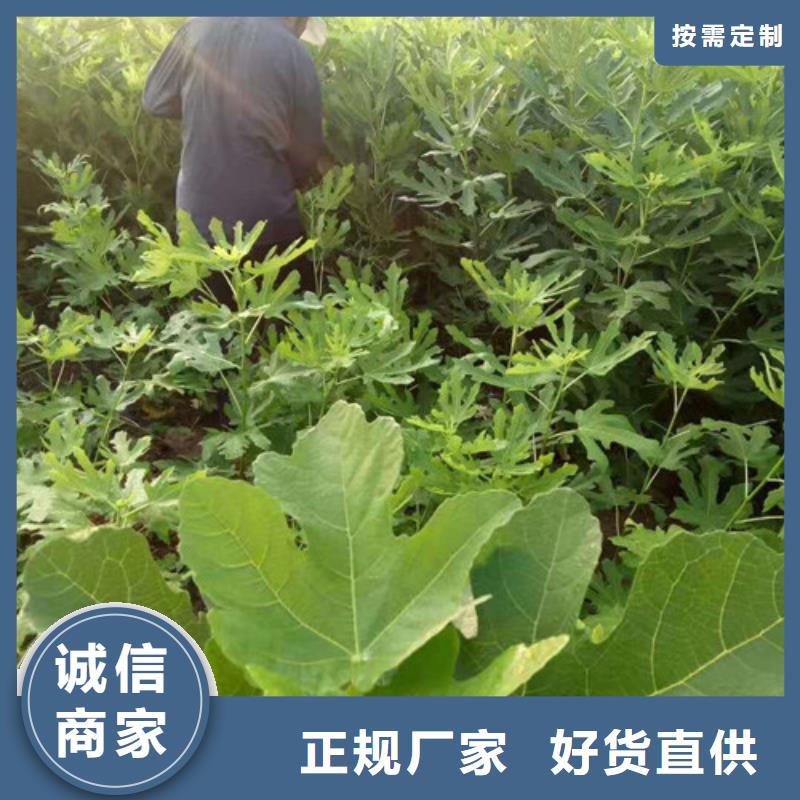 无花果油蟠7-7厂家质量过硬诚信经营现货现发