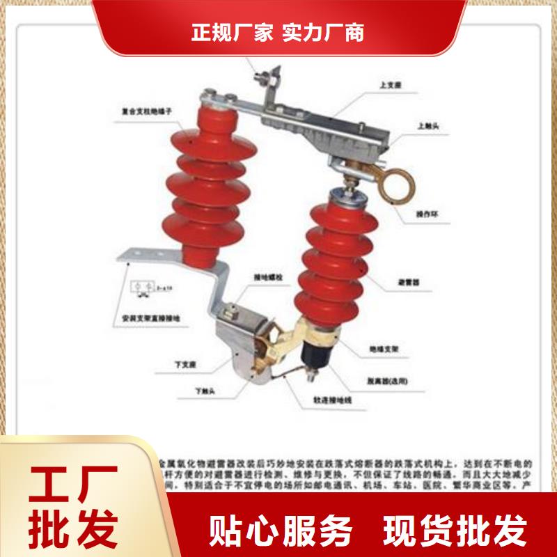 避雷器_真空断路器批发工厂直营现货