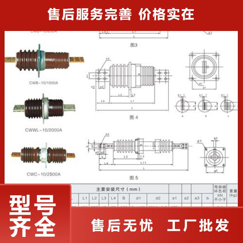 CWW-10/2500A陶瓷套管使用寿命长久