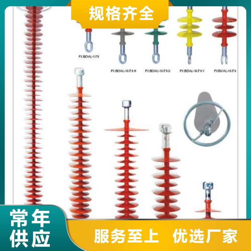 绝缘子真空断路器闪电发货当地生产商