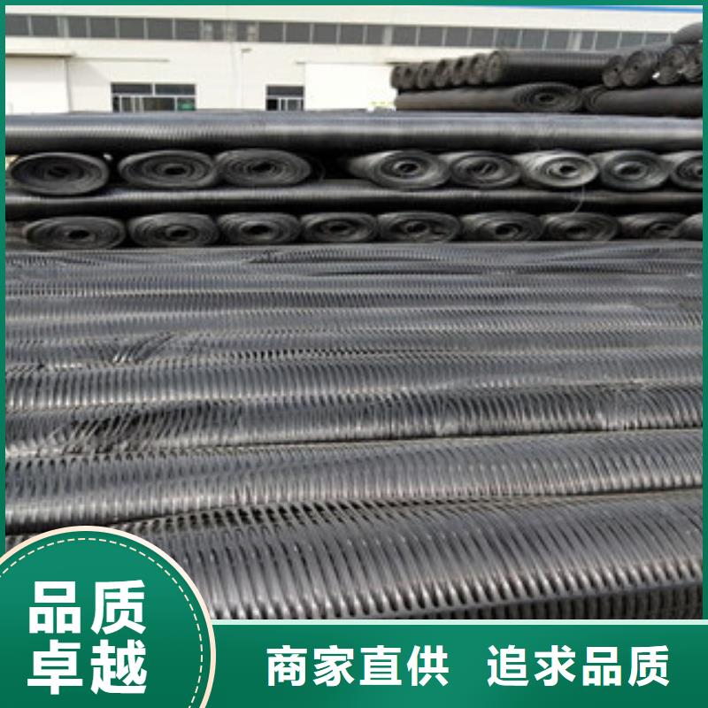 单向塑料格栅膨润土防水毯品质卓越优质原料