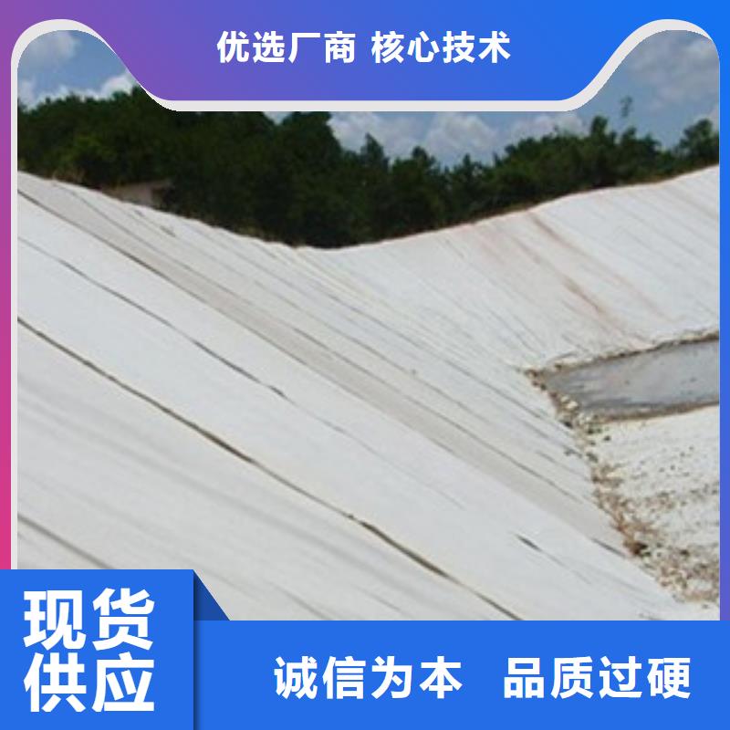 遵义土工布 玻纤土工格栅实力大厂家