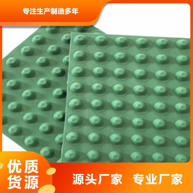 宜昌排水板植草格厂家设备齐全支持定制