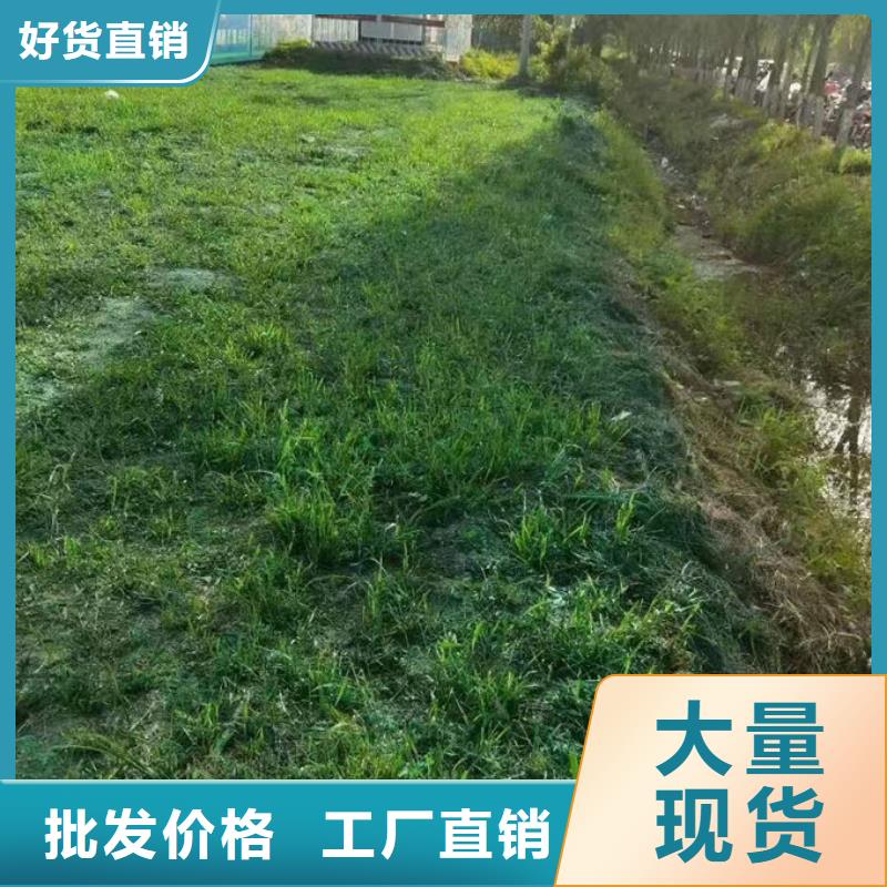 工地裸土抑尘剂保障通过检测
