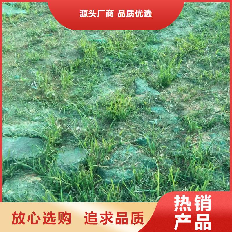 生物酶抑尘剂厂家货源优选原材