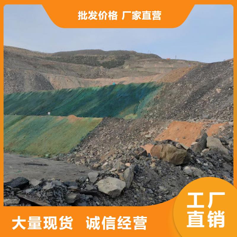 生物酶抑尘剂产地工厂厂家新品