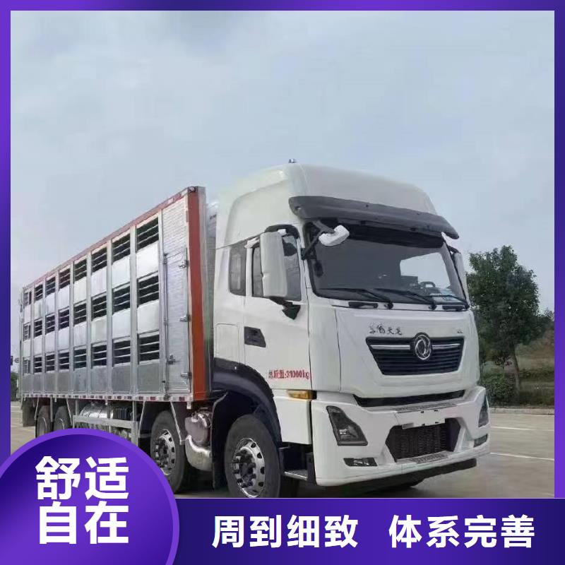 宿迁市泗洪到威海畜禽运输及时送达