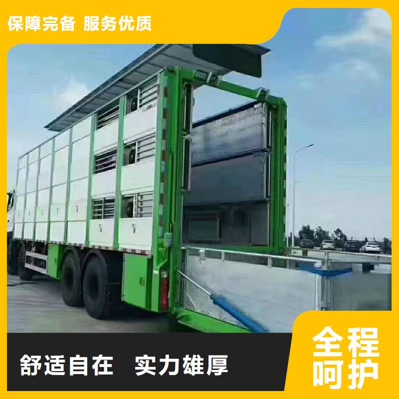 南阳到乌海活禽物流技术先进