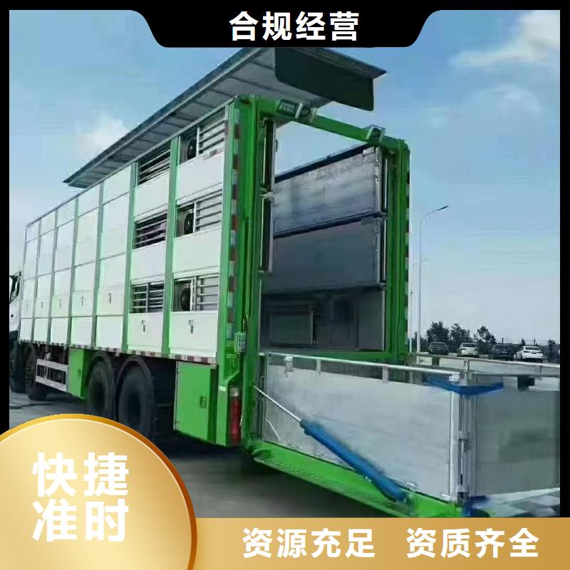 绍兴到常州猪只贸易安静舒适