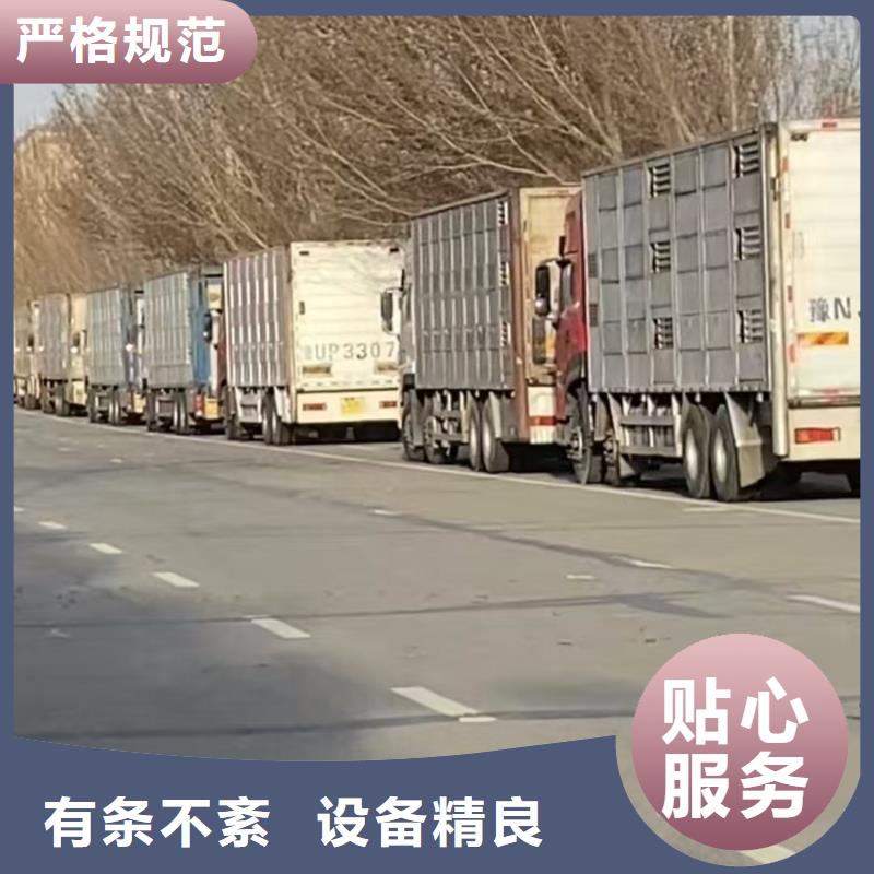 三门峡到云浮生猪空调车运输合作广泛