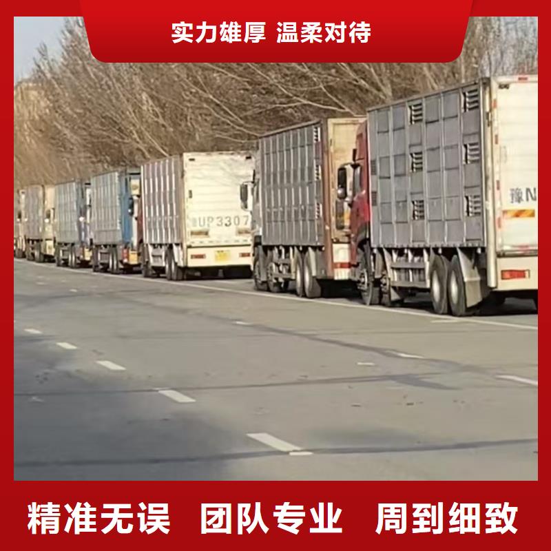 洛阳到大理猪只运输专用车体系完善