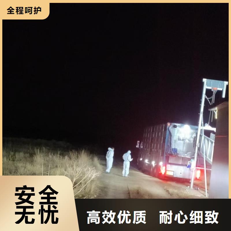 台州到三亚活禽物流耐心细致