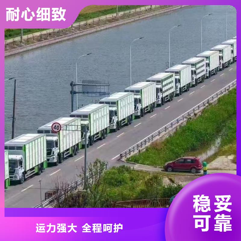 宿迁市泗洪到芜湖生猪运输有条不紊